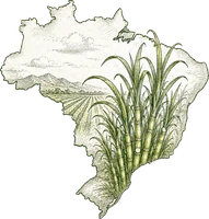 Mapa do Brasil com canavial